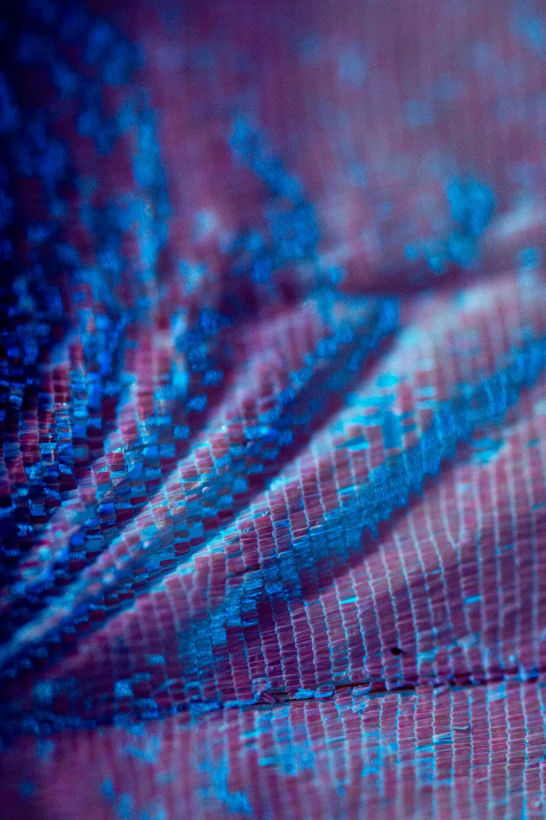 Vue macro d'une aile de papillon montrant des écailles iridescentes bleu vif et violet sur fond texturé.